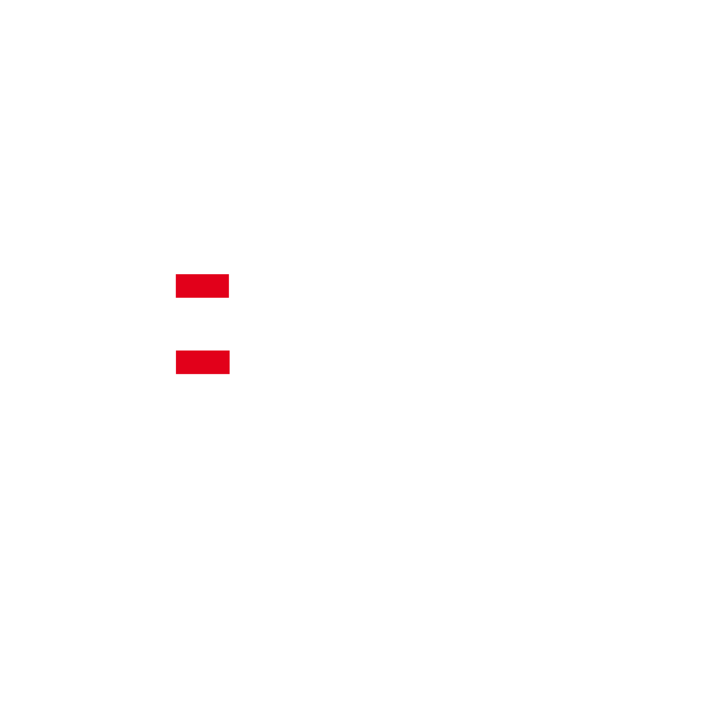 Logo Terra GE blanc & rouge